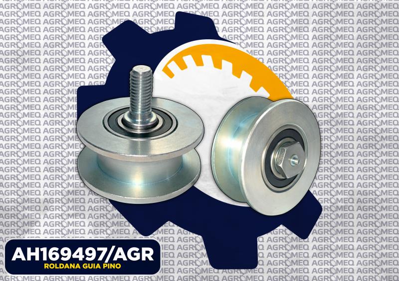 ROLDANA GUIA PINO AH169497/AGR