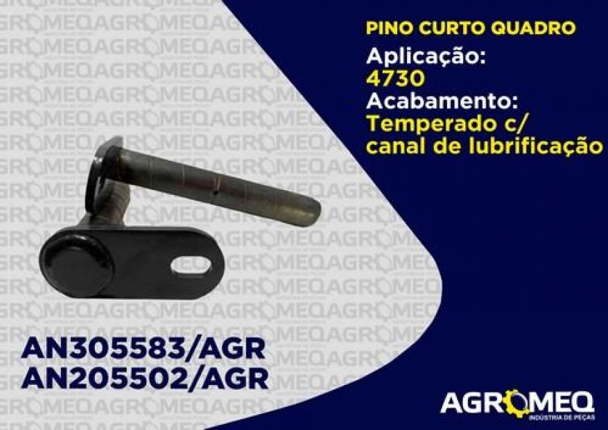 PINO CURTO QUADRO AN305583-AGR AN205502-AGR